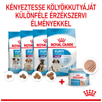 Royal Canin Starter - Kölyök kutya pépes nedves táp #6