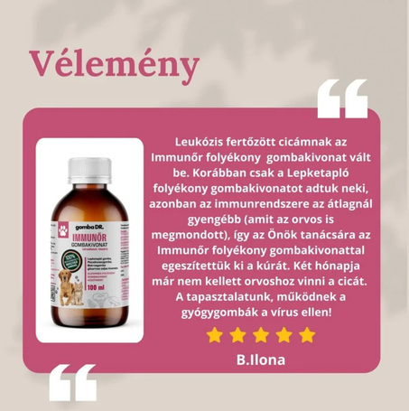 Gomba DR. IMMUNŐR folyékony gombakivonat