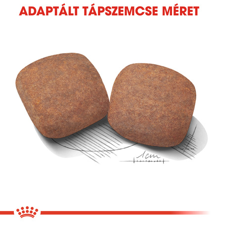 Royal Canin Giant Adult - óriás testű felnőtt kutya száraz táp