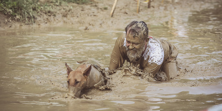 Hard Dog Race - Egy új kutyás sport van születőben?