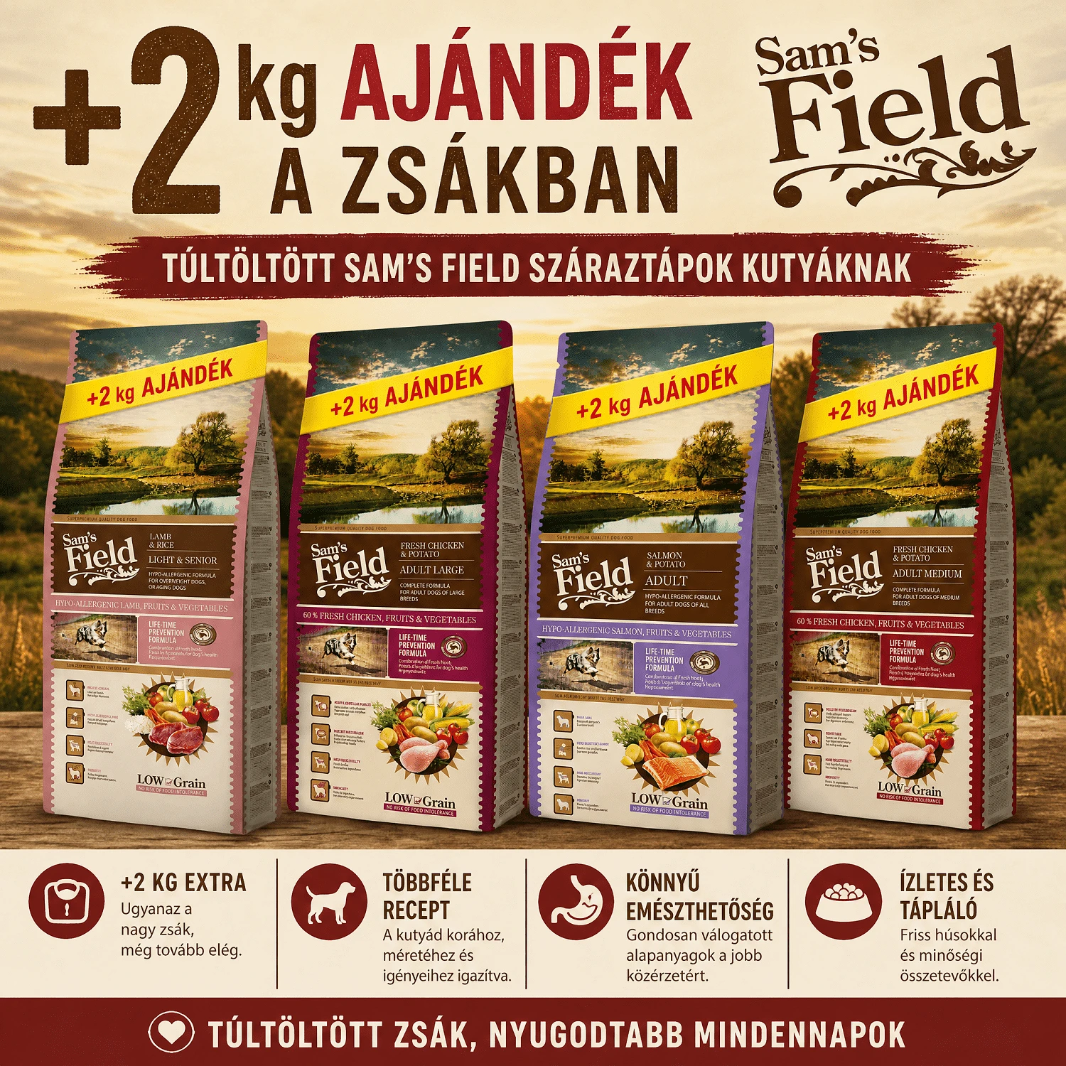 Sam'S Field