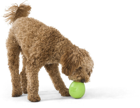 West Paw Rumbl - Jutalomfalattal tölthető labda