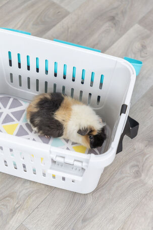 Trixie Midi-Capri szállítódoboz