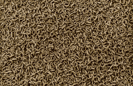 Tetra ReptoMin Sticks