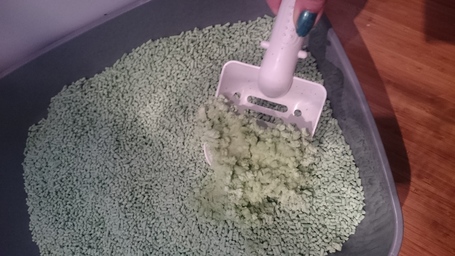 Tofu alom zöld tea illattal macskáknak