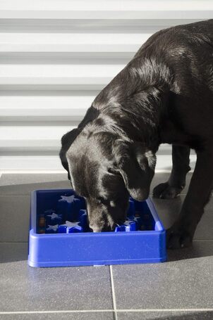 Eat Slow Live Longer Star habzsolásgátló tál