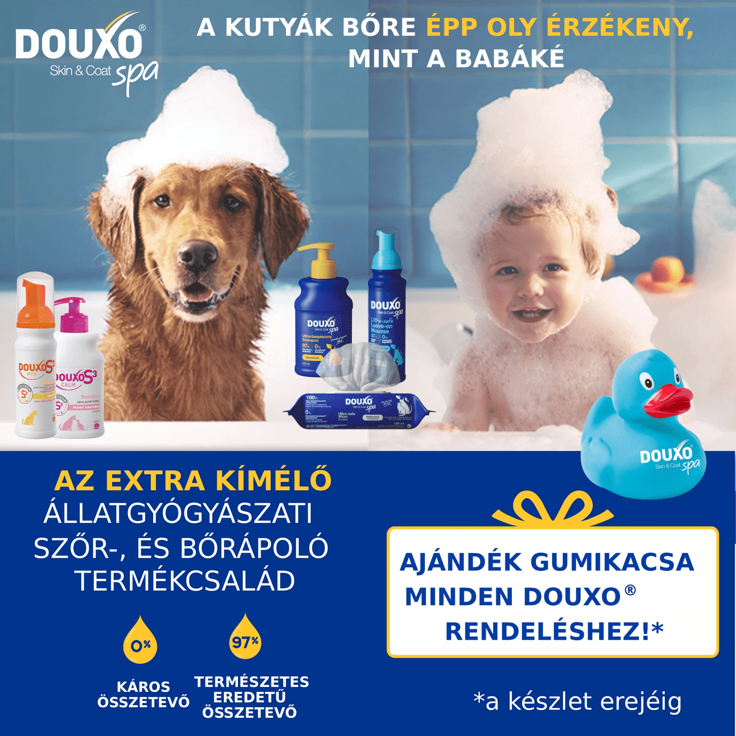Douxo bőrápolás kutyáknak és macskáknak – fürdetés és ápolás
