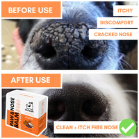 OurDogsLife orr- és mancsápoló krém kutyáknak #2