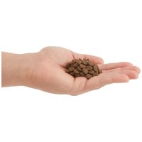 Orijen Regional Red Cat & Kitten #7