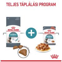 Royal Canin Hairball Care - Száraz táp felnőtt macskák részére a szőrlabdák könnyebb eltávozásáért #6