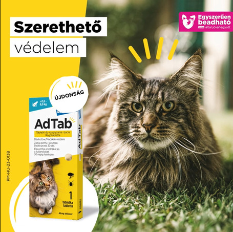 AdTab kullancs és bolha elleni rágótabletta macskáknak