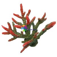 Szirtkorall akvárium dekoráció #2