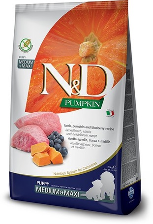 N&D Dog Grain Free Puppy Medium/Maxi sütőtök, bárány & áfonya szuperprémium kutyatáp