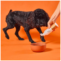 OurDogsLife Dental oldat fogkő és szájszag ellen kutyáknak #4