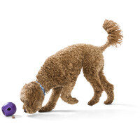 West Paw Rumbl - Jutalomfalattal tölthető labda #12