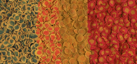 Tetra Pro Multi-Crisps Menu vegyes díszhaltáp