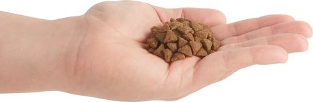 Acana Bountiful Catch macskaeledel halimádó cicáknak