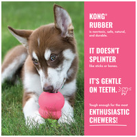 Kong Puppy Harang #8