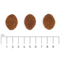 Eminent Adult Large Breed | Táp nagytestű felnőtt kutyáknak #11