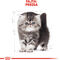 Royal Canin Persian Kitten - Perzsa kölyök macska száraz táp