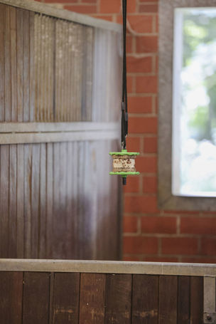 Kerbl Delizia szendvics és nyalókő tartó lovaknak