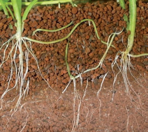 JBL Manado substrat nutritiv pentru plante - zoom