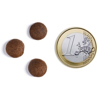 Ambrosia Dog Adult GF Beef & Fresh Salmon #10