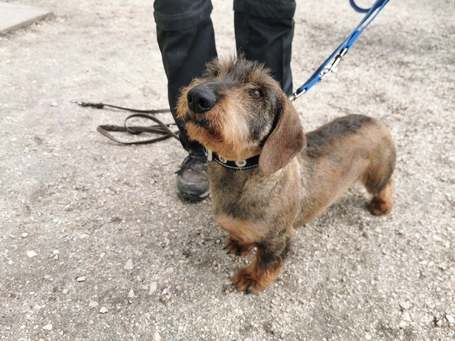 Marcus, 4 éves, kan