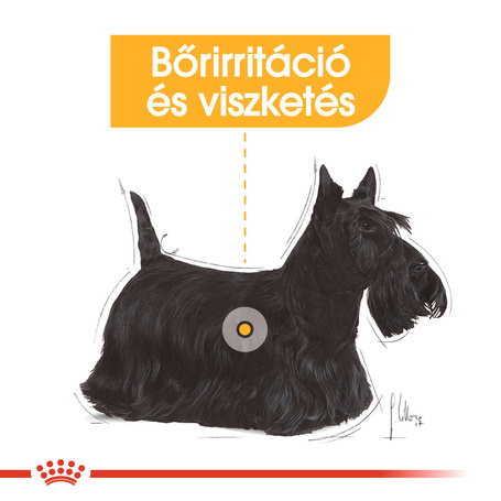 Royal Canin Dermacomfort - Nedves táp bőrirritációra hajlamos felnőtt kutyák részére