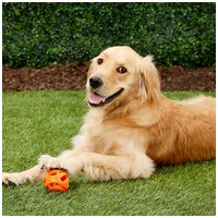 Chuckit! Air Fetch / Breathe Right labda kutyáknak #10