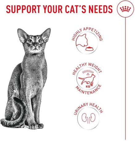 Royal Canin Fussy - válógatós macskák részére