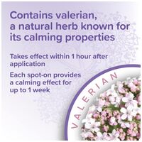 Beaphar No Stress / Calming Spot On kutyáknak #7