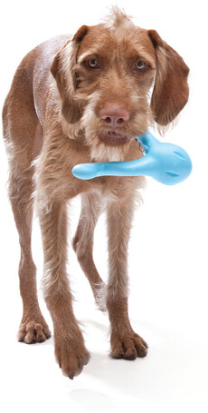 West Paw Tizzi - Multifunkcionális kutyajáték