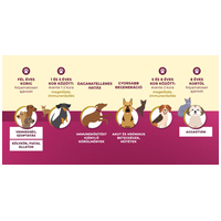 Burgimmune Forte immunerősítő tabletta kutyáknak #3