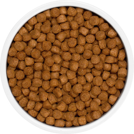 Eminent Light / Weight Control