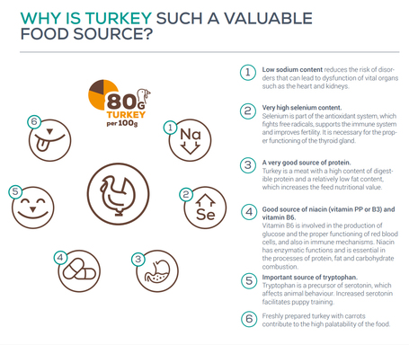 Raw Paleo Ultra Puppy Medium & Large Turkey