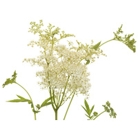 Biogance Gliss Hair Conditioner - Szőrkondicionáló balzsam kutyáknak és macskáknak #6