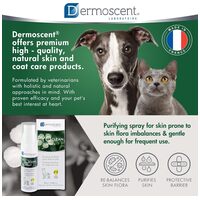 Dermoscent PYOclean Spray kutyáknak és macskáknak #5