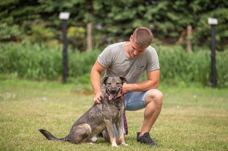 Kópé, 5 éves, 50 cm magas, kan