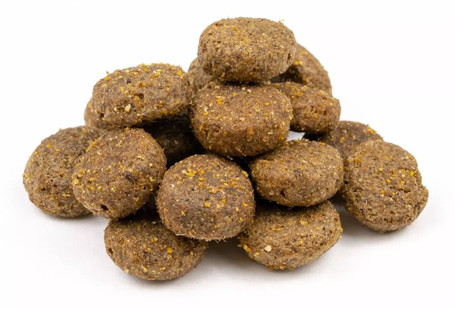 Profine Light Lamb & Potatoes | Diétás kutyatáp bárányhússal és burgonyával | Gabonamentes