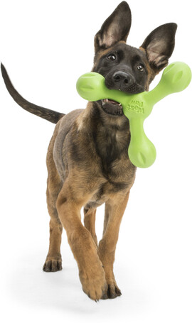 West Paw Skamp - Apport kutyajáték