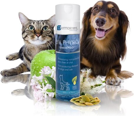 Dermoscent EFA Physio Shampoo kutyáknak és macskáknak