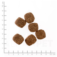 Belcando Adult Grain-Free Ocean táp tengeri halfajtákból, érzékeny kutyáknak | Gabonamentes #5