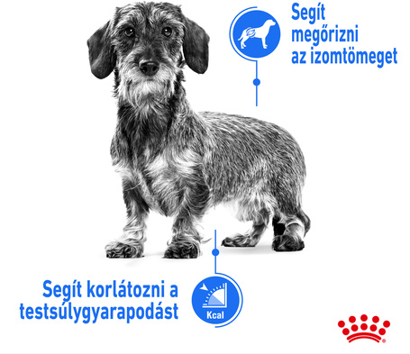 Royal Canin Mini Light Weight Care - Száraz táp hízásra hajlamos, kistestű felnőtt kutyák részére