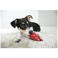 Kong Classic piros harang #5