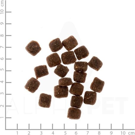 Primum Adult Soft Ente mit Kartoffel