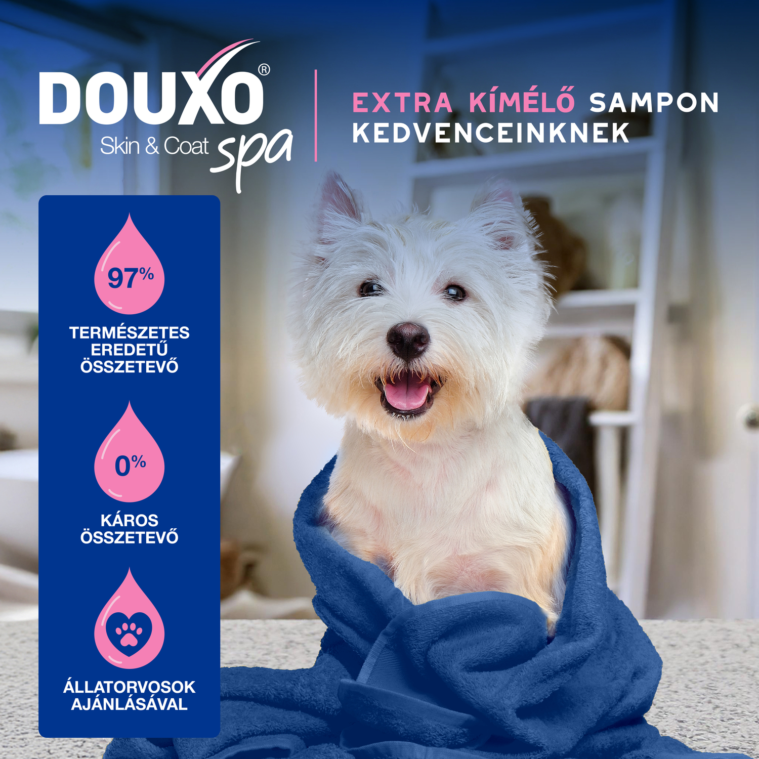 Douxo Spa șampon calmant împotriva mâncărimii pentru câini - zoom