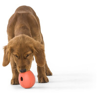 West Paw Rumbl - Jutalomfalattal tölthető labda #9