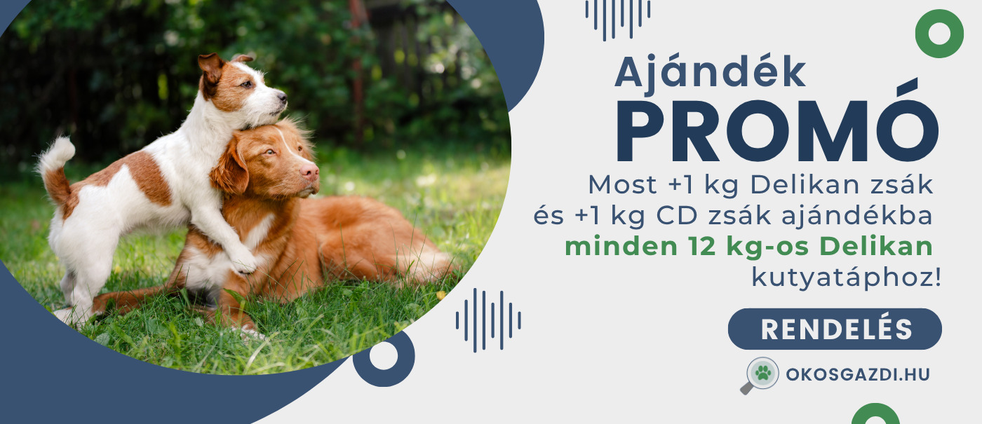 Most minden 12 kg-os Delikan táphoz +1 kg kis Delikan zsákot és +1 kg kis CD zsákot adunk ajándékba: