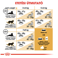 Royal Canin British Shorthair Adult - Brit rövidszőrű felnőtt macska száraz táp #5
